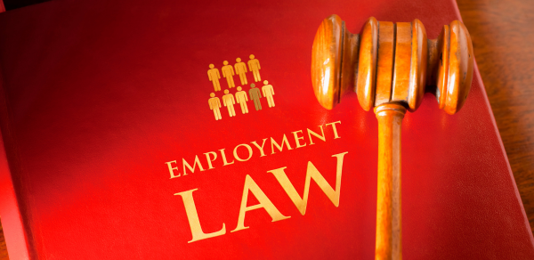 employment-law-red-book-with-gavel-on-top