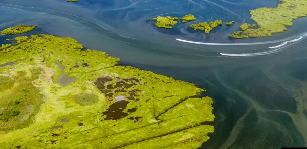 Proposed New Definition of the “Waters of the United States” – What May Change and Why It Matters